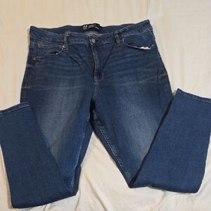 GAP Women's Classic Indigo Skinny Jeans